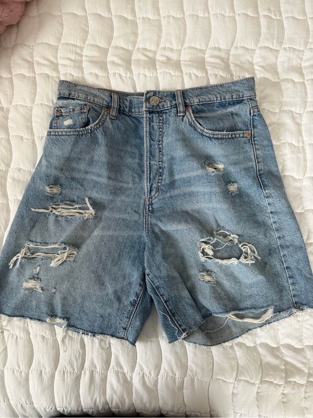Garage Distristressed Jorts
